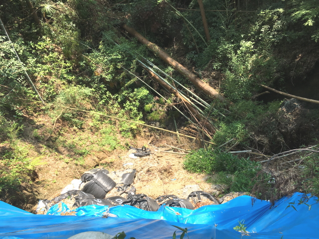 河内長野千早城跡線・神が丘～鳩原間（2018/07/24）